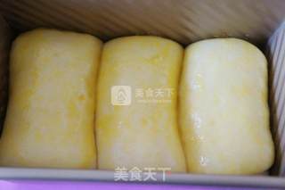 葡萄干土司的做法步骤：9