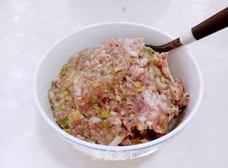 美味养生——生氽肉丸粉丝汤的做法步骤：6