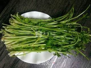 芹菜煎鸡蛋的做法步骤：1
