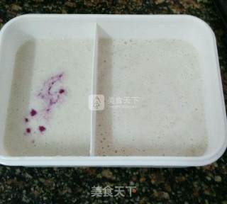 蓝田白玉冻的做法步骤：11