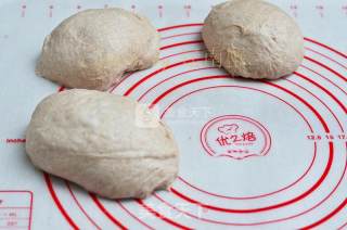 中种蜜豆软欧包的做法步骤：8