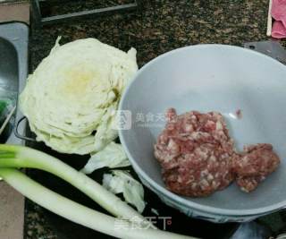 菜肉包子的做法步骤：4