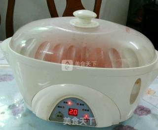 红乳粉蒸肉的做法步骤：7