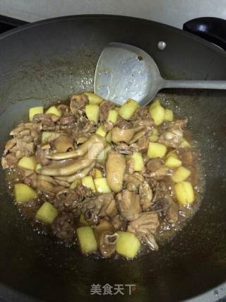 土豆焖鸭的做法步骤：9
