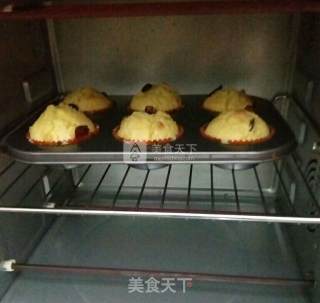蔓越莓玛芬的做法步骤：7