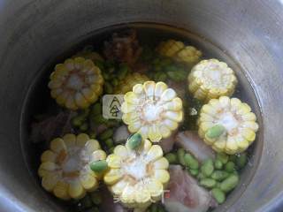 青黄豆玉米肉骨汤的做法步骤：6
