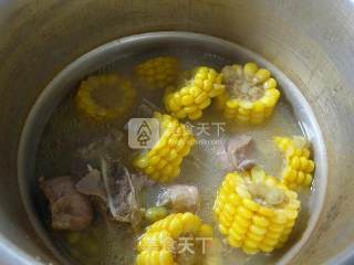 青黄豆玉米肉骨汤的做法步骤：11