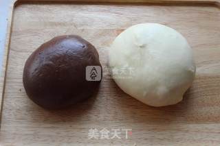 北海道可可双色土司的做法步骤：5