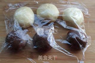 北海道可可双色土司的做法步骤：8