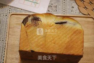 北海道可可双色土司的做法步骤：13
