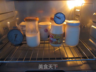 瓷罐酸奶&盆栽的做法步骤：8