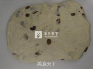 葡萄餐包的做法步骤：6