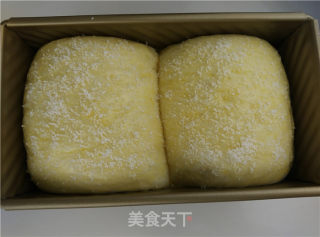 椰香吐司的做法步骤：8