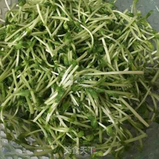 豆苗炒肉片的做法步骤：1