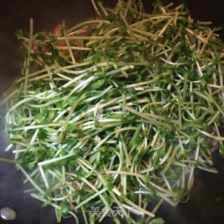 豆苗炒肉片的做法步骤：7