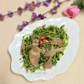 豆苗炒肉片的做法步骤：9