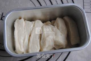 椰蓉手撕包的做法步骤：10