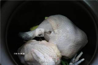姜葱砂锅鸡的做法步骤：6