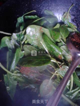 香辣菠菜的做法步骤：3
