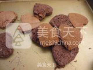 樱桃可可奶油蛋糕的做法步骤：16