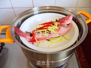 榄角蒸红鲷的做法步骤：6