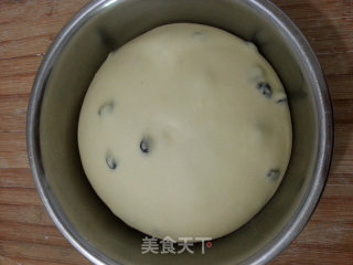 黑加仑牛奶吐司的做法步骤：9