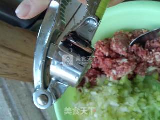 羊肉大葱水饺的做法步骤：4