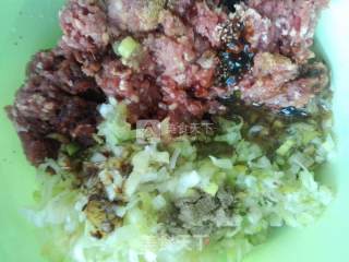 羊肉大葱水饺的做法步骤：5