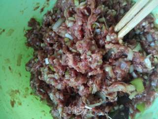 羊肉大葱水饺的做法步骤：7