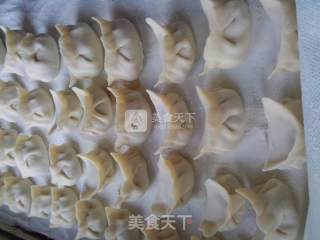 羊肉大葱水饺的做法步骤：9