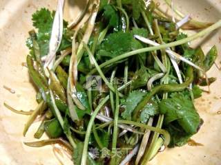 老虎菜的做法步骤：3