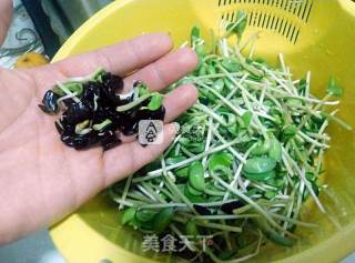 平价小炒——蒜香黑豆苗的做法步骤：3