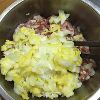 白菜猪肉馅饼的做法步骤：6