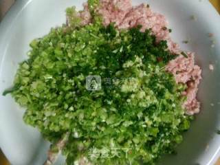 芹菜猪肉水饺的做法步骤：8