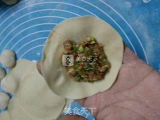 芹菜猪肉水饺的做法步骤：16