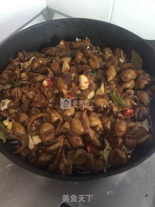 肥肠煲的做法步骤：11