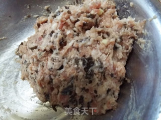 翡翠白菜饺的做法步骤：4
