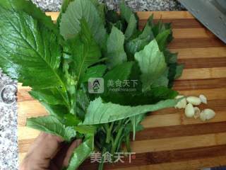 清炒野芝麻菜的做法步骤：1