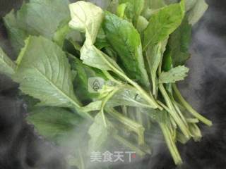 清炒野芝麻菜的做法步骤：2