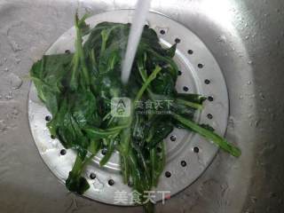清炒野芝麻菜的做法步骤：3