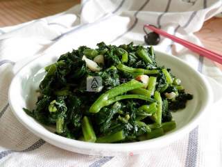 清炒野芝麻菜的做法步骤：9