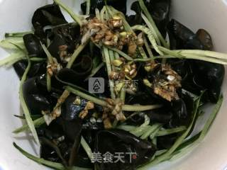凉拌芥末木耳的做法步骤：4