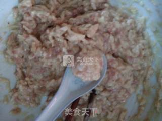 萝卜猪肉丸子的做法步骤：7