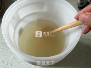 蓝莓枸杞胡萝卜护眼酵素的做法步骤：4