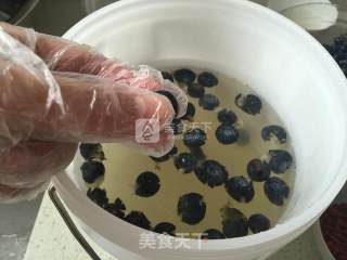 蓝莓枸杞胡萝卜护眼酵素的做法步骤：6