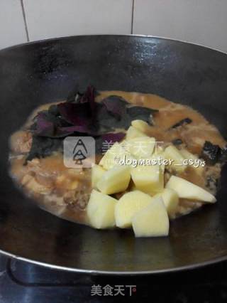 爱上了紫苏独特的香气【紫苏烧鸭】的做法步骤：5