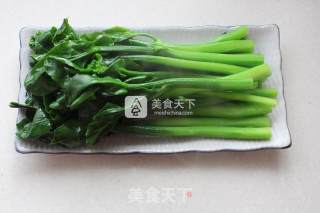 白灼芥蓝的做法步骤：4