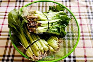 家常小白菜炖豆腐的做法步骤：6