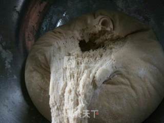 全麦馒头的做法步骤：5