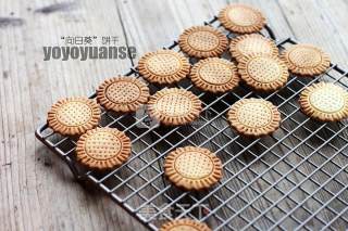 向日葵饼干（大约34块）的做法步骤：11